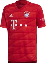 Adidas Performance Tricot FC Bayern München 2019/20 DX9253