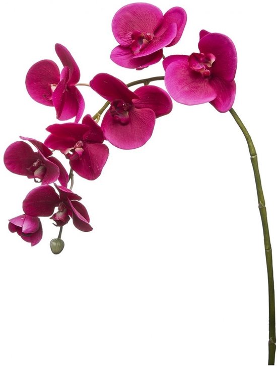 Fuchsia kunstmatige phalaenopsis orchideestam H82