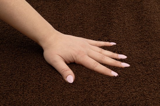Tapiso Tapis câlin à poils longs marron antidérapant pour salon - 80 x 150 cm