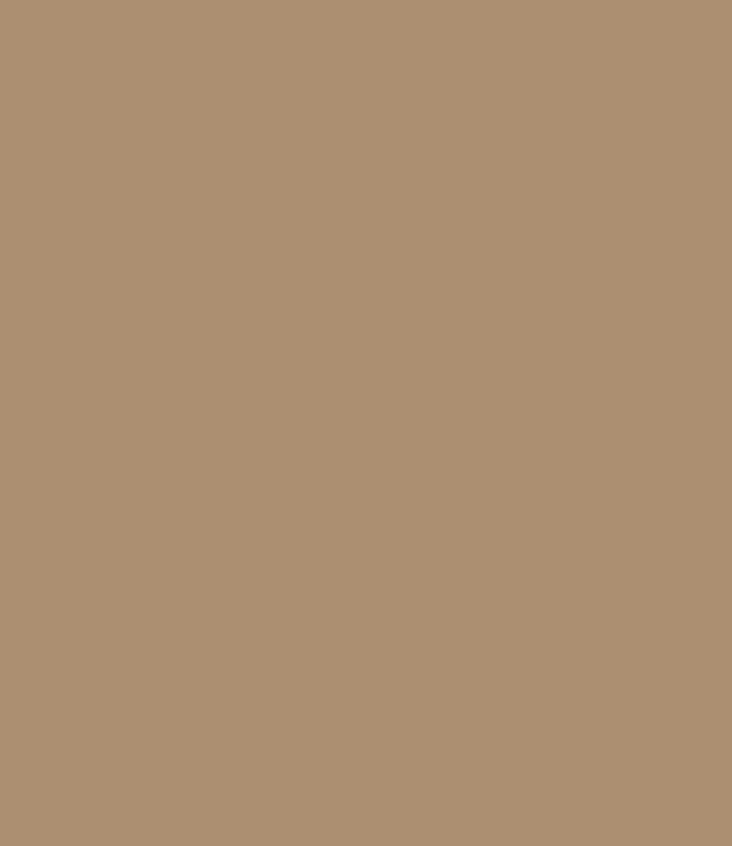 Carte Colori Calcare Kalkverf Biscotta CC041 1 Liter