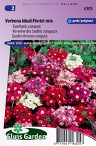 Sluis Garden - Verbena Ideal Florist mix