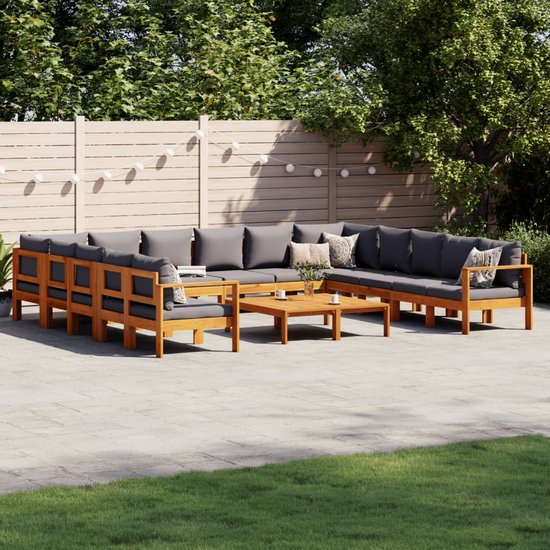 vidaXL-10-delige-Loungeset-met-kussens-massief-acaciahout