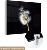 MuchoWow® Glasschilderij 160x120 cm - Schilderij acrylglas - Een stuifbloem op een zwarte achtergrond - Foto op glas - Schilderijen