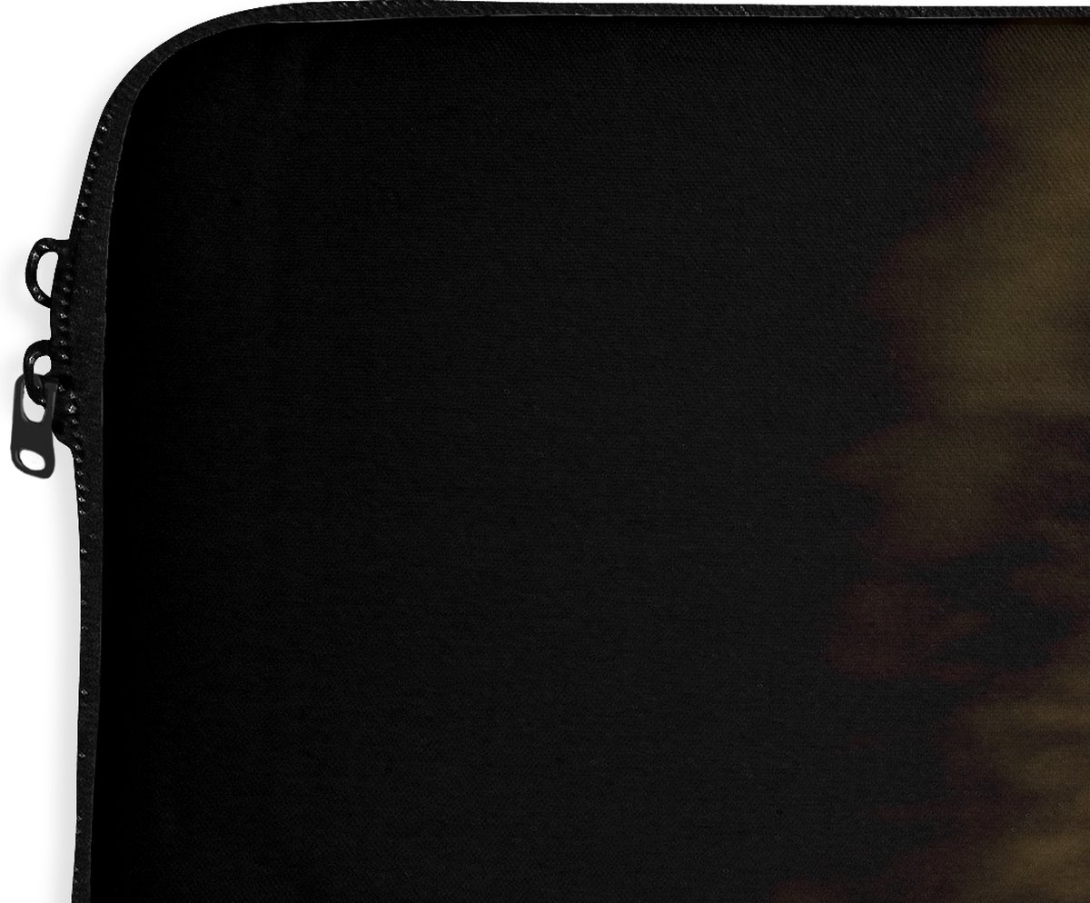 Laptophoes 17 inch - Wasbeer - Wilde dieren - Zwart - Laptop sleeve - Binnenmaat 42,5x30 cm - Zwarte achterkant