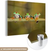 MuchoWow® Glasschilderij 60x40 cm - Schilderij acrylglas - Kikkers - Tak - Foto op glas - Schilderijen