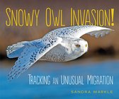 Sandra Markle's Science Discoveries - Snowy Owl Invasion!