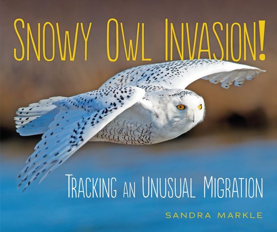 Sandra Markle's Science Discoveries - Snowy Owl Invasion! - cover