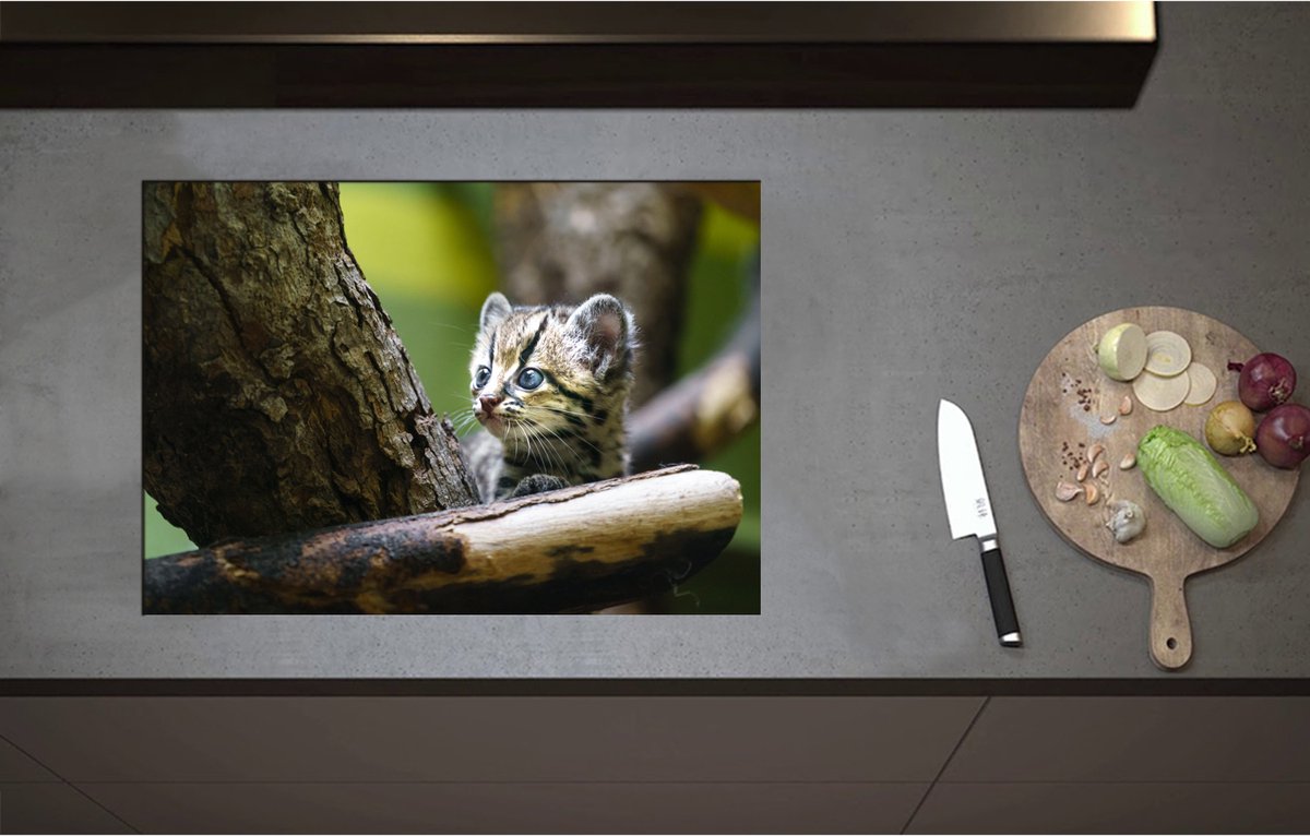 Inductieplaat Beschermer - Boomkat Kitten in de Bomen - 71x50 cm - 2 mm Dik - Inductie Beschermer - Bescherming Inductiekookplaat - Kookplaat Beschermer van Wit Vinyl