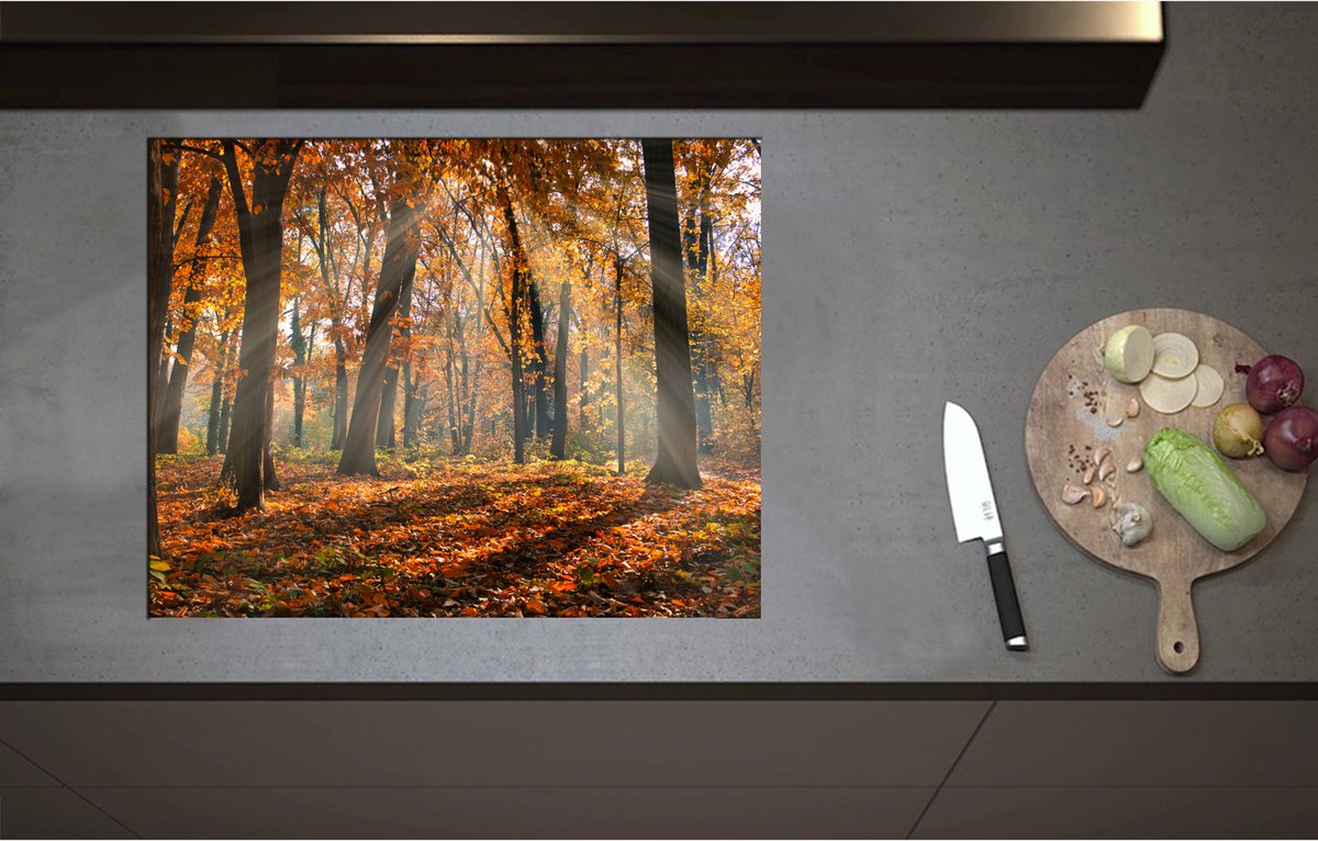 Inductieplaat Beschermer - Bos in de Herfst met Zonnestralen door de Bomen - 70x55 cm - 2 mm Dik - Inductie Beschermer - Bescherming Inductiekookplaat - Kookplaat Beschermer van Wit Vinyl