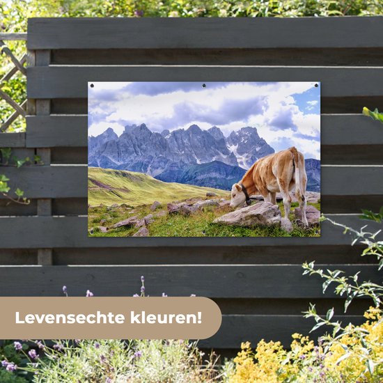 Banner met koe en bergen, hangend aan een houten schutting. Levensechte kleuren.