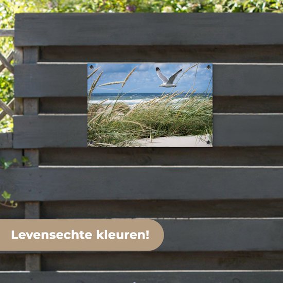 Décoration de jardin Plage - Vogel - Plantes - 60x40 cm - Poster jardin - Toile jardin - Poster extérieur