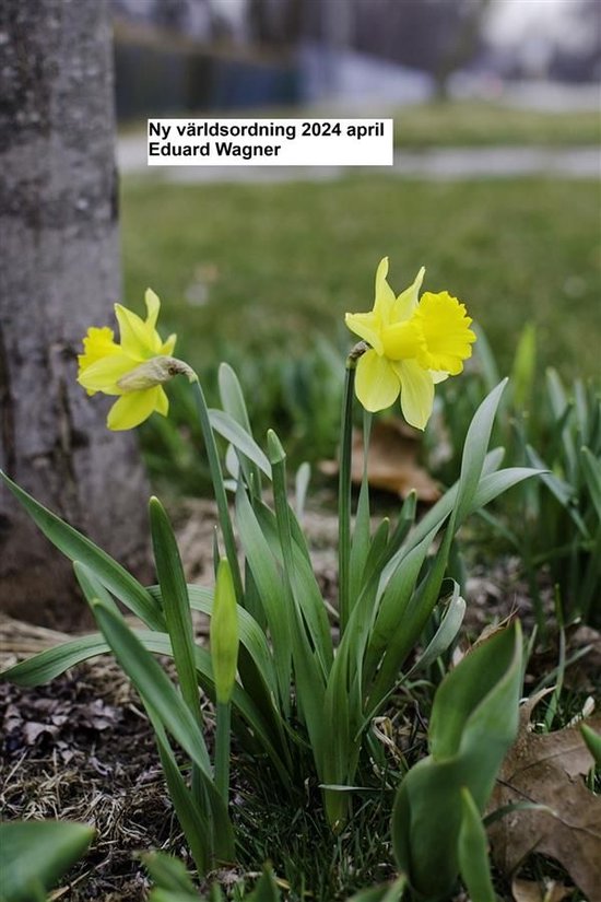 Ny världsordning 2024 april - cover