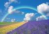 Fotobehang - Vlies Behang - Regenboog - Bloemen - Lavendel - Natuur - 152,5 x 104 cm