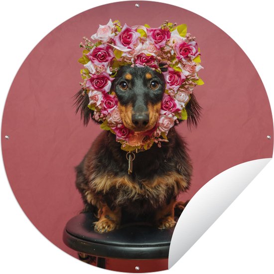 Tuincirkel Hond - Bloemen - Roze - 60x60 cm - Ronde Tuinposter - Buiten