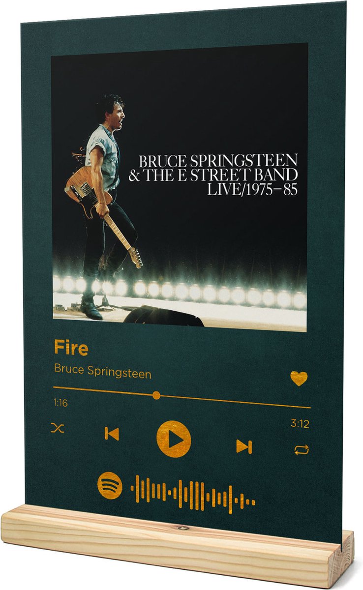 Songr Spotify Musique Sign - Feu - Bruce Springsteen - 20x30 - Vert -  Plaque Aluminium