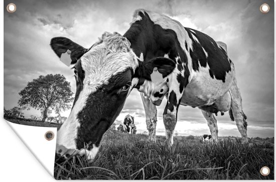 Balgardekor Panneau Amusant En Métal Pour Décoration D'intérieur De