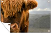 Tuindecoratie Schotse hooglander - Natuur - Portret - 60x40 cm - Tuinposter - Tuindoek - Buitenposter