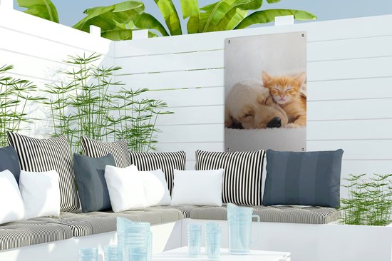 Décoration de jardin Animaux - Chien - Chaton - Rouge - 40x60 cm - Poster de jardin