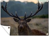 Décoration de Jardin Cerf - Prairie - Bois - 40x30 cm - Toile de jardin - Poster extérieur