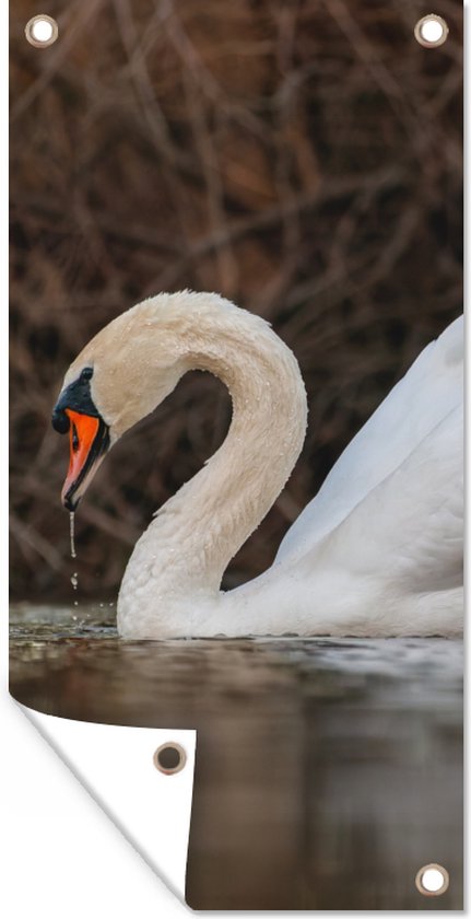 Affiche de jardin Cygne - Water - Animaux - Vogel - 30x60 cm - Toile de jardin - Poster extérieur