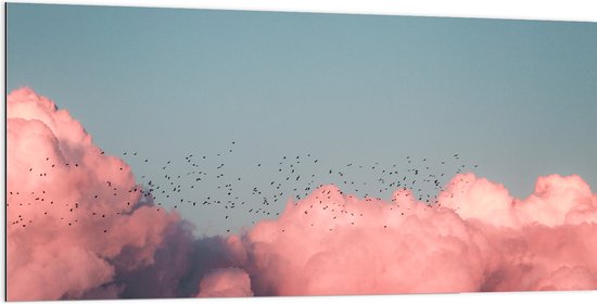 WallClassics - Dibond - Zwerm Vogels bij Roze Wolken in Blauwe Lucht - 200x100 cm Foto op Aluminium (Met Ophangsysteem)