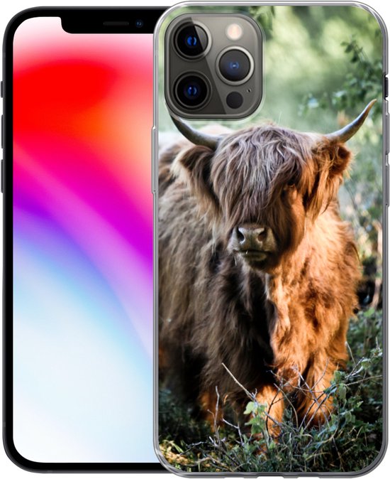 Coque iPhone 13 Pro - Highlanders écossais - Forêt - Animaux - Siliconen