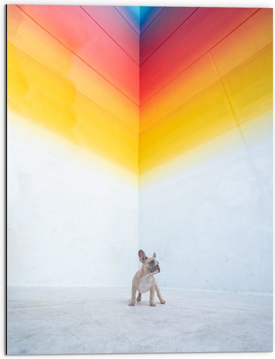 WallClassics - Dibond - Puppy onder Regenboog Street Art - 60x80 cm Foto op Aluminium (Wanddecoratie van metaal)