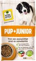 VITALstyle Pup+Junior - Puppy Brokken - Ondersteunt Een Geleidelijke Groei - Met o.a. Brandnetel & Peterselie - 4 kg