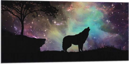 WallClassics - Vlag - Silhouette van een Wolf bij Sterrenhemel - 100x50 cm Foto op Polyester Vlag