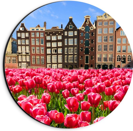 Dibond Muurcirkel - Roze Tulpenveld voor Rij Grachtenpanden in Amsterdam, Nederland - 20x20 cm Foto op Aluminium Muurcirkel (met ophangsysteem)
