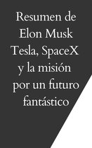 Resumen de Elon Musk
