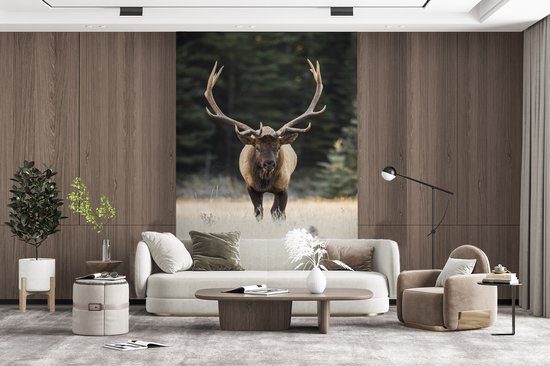 Papier peint - Papier peint photo Cerf - Arbre - Bois - Largeur 195 cm x hauteur 300 cm