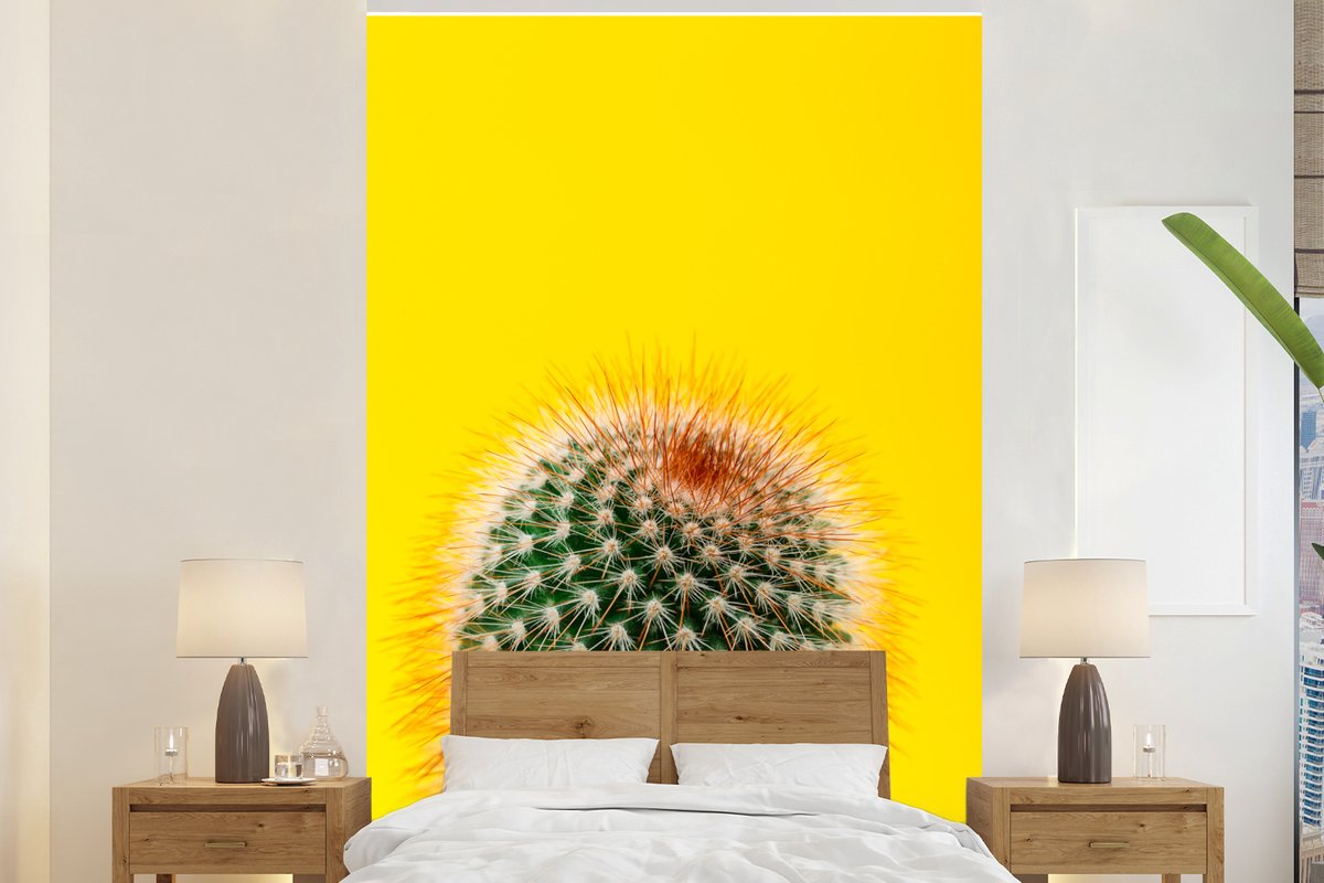 Behang - Fotobehang Cactus met rood - Breedte 145 cm x hoogte 220 cm