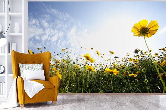 Champ jaune de fotobehang de fleurs