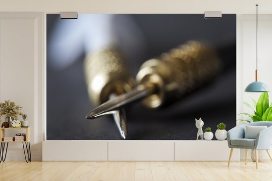 Papier peint photo peint photo vinyle - Fléchettes largeur 330 cm x hauteur 220 cm - Tirage photo sur papier peint (disponible en 7 tailles)