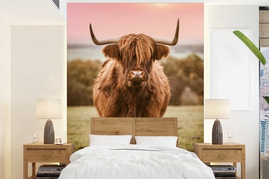 Behang - Fotobehang Schotse hooglander - Koe - Horizon - Breedte 160 cm x hoogte 220 cm