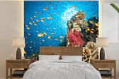 Behang - Fotobehang Koraal met vissen - Breedte 240 cm x hoogte 240 cm