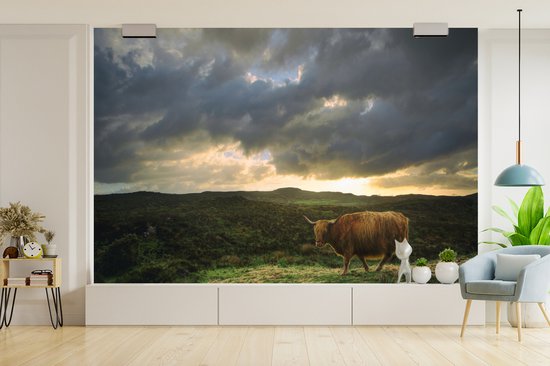 Papier peint Papier peint photo en vinyle - Highlander pendant le coucher du soleil largeur 450 cm x hauteur 300 cm - Tirage photo sur papier peint (disponible en 7 tailles)