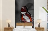 Behang - Fotobehang Vlinder - Dieren - Bloemen - Zwart wit - Oranje - Breedte 120 cm x hoogte 240 cm
