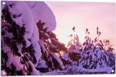 Tuinposter – Rij Bomen met Dikke Laag Sneeuw tijdens de Avondzon - 90x60 cm Foto op Tuinposter (wanddecoratie voor buiten en binnen)