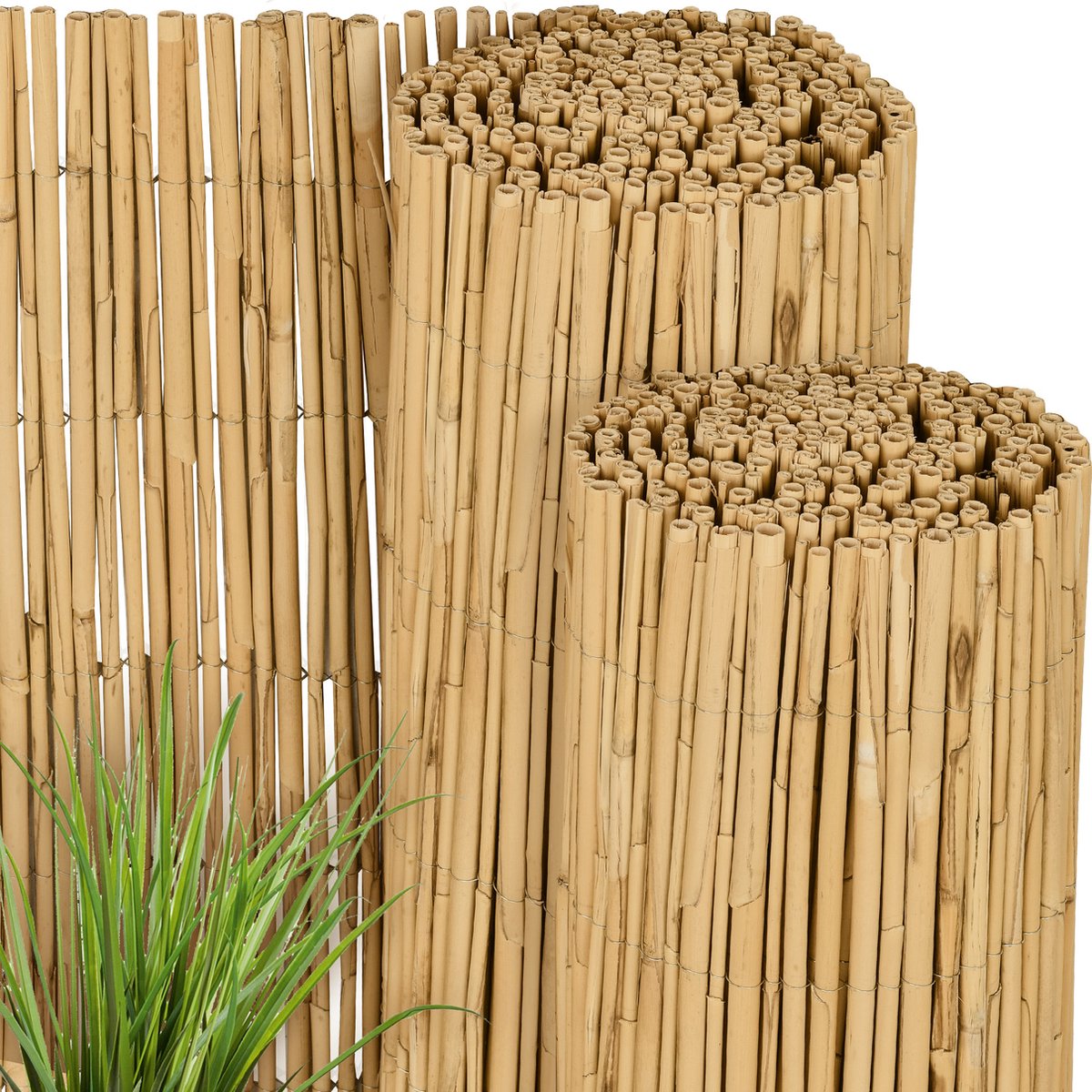Sol Royal S36 – Rietmatten Privacyscherm 160x600xcm – Duurzaam & Weerbestendig Balkonscherm 100% Riet – Windscherm & Zonwering