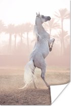 Poster Paard - Zand - Palmboom - 20x30 cm