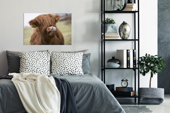 Highlander écossais lèche ses lèvres papier d'affiche