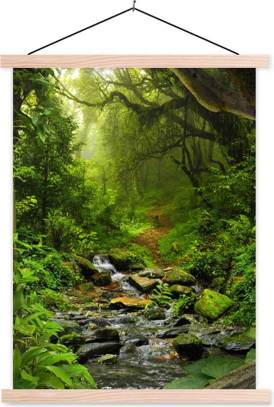 Posterhanger incl. Poster - Schoolplaat - Natuur - Water - Jungle - Bos - Tropisch - 60x80 cm - Blanke latten