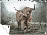Tuinschilderij Schotse hooglander - Natuur - Herfst - Dieren - Wild - Bos - 80x60 cm - Tuinposter - Tuindoek - Buitenposter