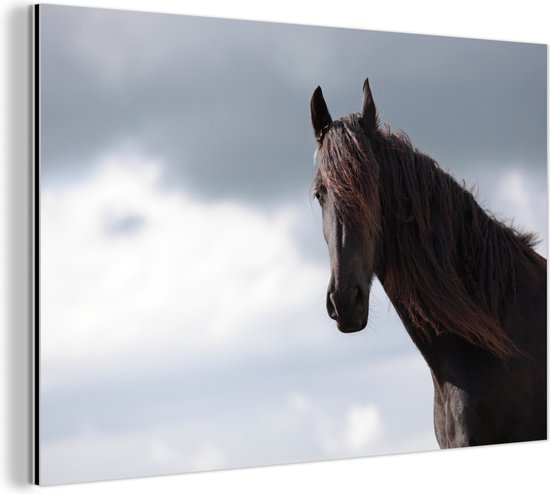 Wanddecoratie Metaal - Aluminium Schilderij - Paarden - Lucht - Portret