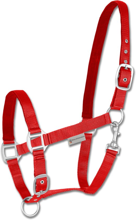 Rood halster met zilverkleurige gespen en een haaksluiting, merknaam 'Waldhausen'.