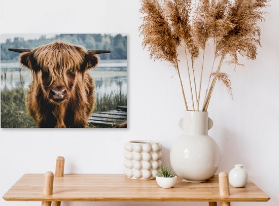 Toile - Highlander écossais - Animaux - Vache - Nature - Water - Décoration murale - Peintures sur toile - Peintures salon - 40x30 cm