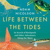 the sea is not made of water: Life Between the Tides