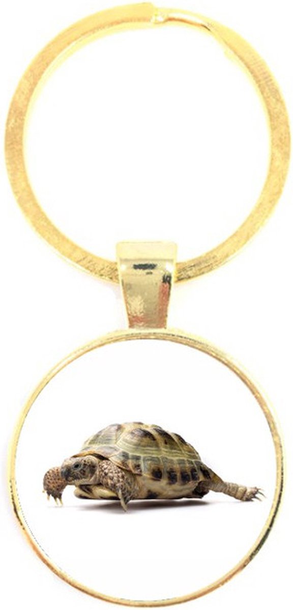 Sleutelhanger Glas - Schildpad